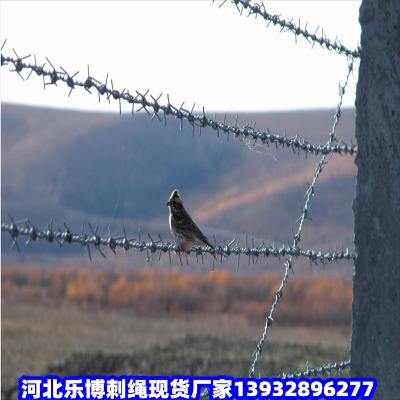 pvcF޼ϲpvcFzWŽܴK