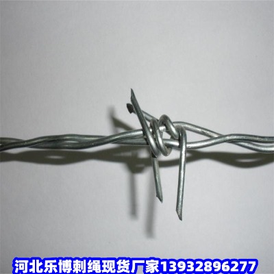|С^(q)^IW(wng)_(ki)ԴKƱFzW(wng)