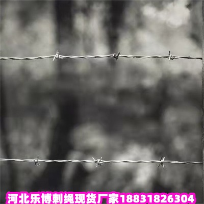 _(ti)\KS(chng) _(ti)\K ±K̾W(wng)