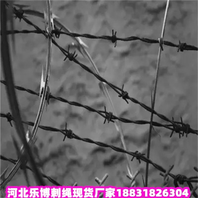 \KS(chng) 5\䓽zW(wng)