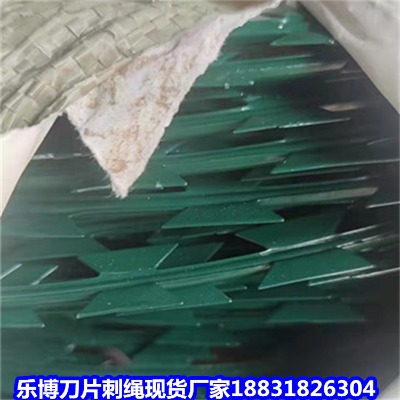 Ĵ\KS Y(yng)6C(j)(chng)簲ȫW(wng)