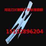 Ƭ̾W(wng)ຣCL\ھW(wng)S