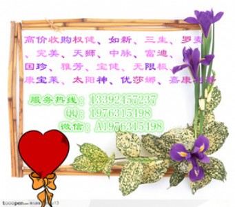 ˾߃r(ji)ُ(gu)(qun)a(chn)Ʒ
