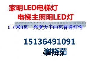 LEDݟLED