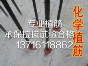 x^(q)I(y)ֲ20-28䓽r