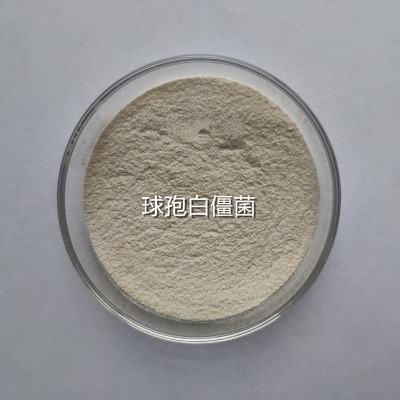 白僵菌生產(chǎn)廠家