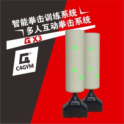 智能拳擊靶多人拳擊訓練系統(tǒng)減脂健身房器材體育教學器材