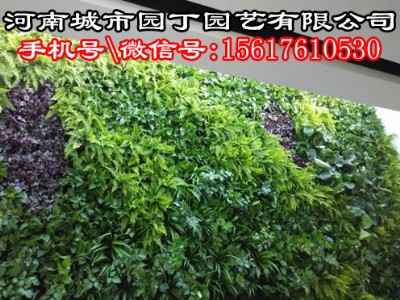 ļֱG(yng)_(ti)ֲ-Ј@
