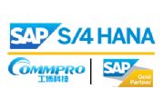 sap s/4 hanaI(y)̄׼-sapƼ