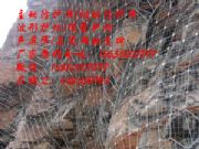 snsӷo(h)W(wng)Sҡ(yng)ʲVhӾW(wng)S̓rl(f)