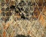 ɶⁿ˾W(wng)S|tecco(dng)o(h)W(wng)l(f)r(ji)|ă(yu)