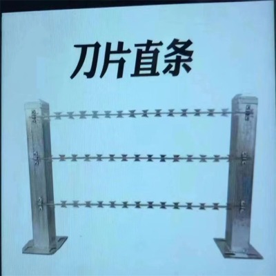 ӱF̽zL\Sຣo(h)W(wng)L\FzW(wng)