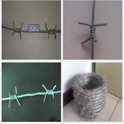 PдFzWPFzWPF޼