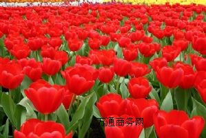 orõ廨r죬OS޹