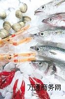 冷庫(kù)保溫 安裝冷庫(kù) 海鮮冷庫(kù)