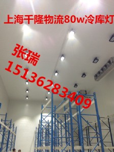 大型led食品廠冷庫(kù)方燈20w