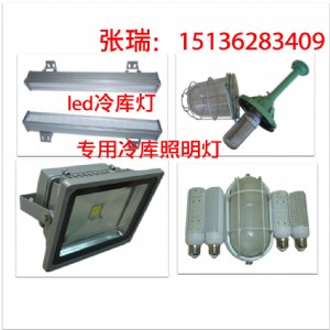 冷凍庫(kù)燈,冷庫(kù)led燈