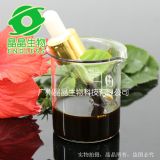 供應(yīng)生姜精油 高純度