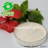和厚樸酚98% 廠家直銷