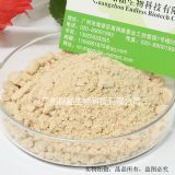 天然厚樸提取物90% 穩(wěn)定性好 價(jià)格低