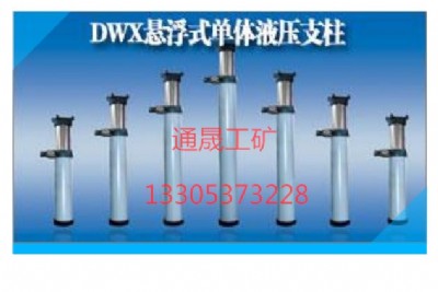 (ni)wSң(yng)dw40-250/110xw֧