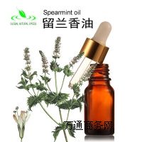 純天然留蘭香油