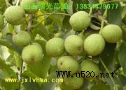 8518磬(yu)|޽Ӻ(D)
