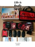 (yng)ABTronic X2ABAB