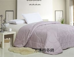 納米蘆薈子母被電氣石磁療蘆薈子母被廠(chǎng)家低價(jià)熱銷(xiāo)
