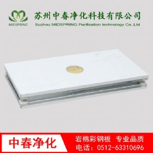 高品質(zhì)室內(nèi)鋼制凈化門 隔音潔凈門 防火凈化門密閉平開門