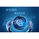 中文域名注冊(cè) 奧凱網(wǎng)絡(luò)專業(yè)域名注冊(cè)com域名備案 網(wǎng)站開發(fā)設(shè)