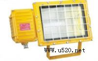 (yng)BFC8110