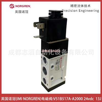 V51B517A-A2000Ȧ13J늉24VDCӢZ