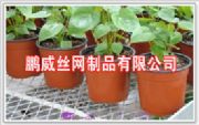 (yng)紲W(wng)r(ji)紲W(wng)S(chng)(D)