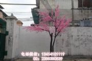 ٘ѻ~҃(ni)ѻӆ ʥ^