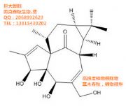 SҬF(xin)؛޴ꪴ-Ingenol-30220-46-3