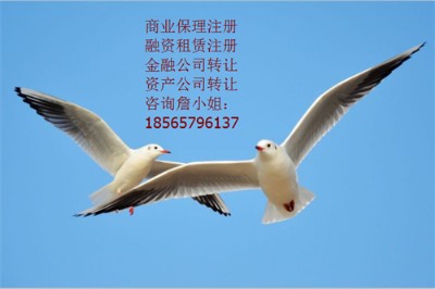 עǰ羳̹˾ЩҪ䰸