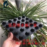 ˲܇(k)ˮo(w)?f)?><div><a rel="nofollow" href="javascript:op1(752096)"><img src=