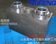 WST40-00泰豐數(shù)控折彎機(jī)油缸