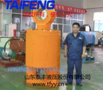 供應(yīng)WST320-00泰豐數(shù)控折彎機(jī)油缸
