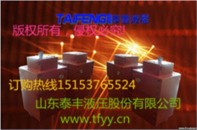 供應(yīng)WC67Y-63-2500RH泰豐普通折彎?rùn)C(jī)油缸