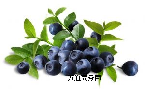 ԴF(xin)؛(yng)oӄɫȻ{ݮ֭