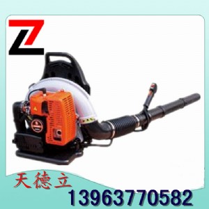 (yng)ؓʽ·洵L(fng)CѩC mCL(fng)·CL(fng)C