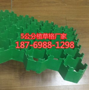 40ֲݸr
