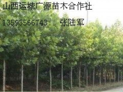 56ַͩ̓r(ji)