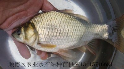 a~Ϸa~磬a~