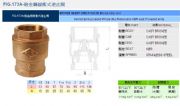 臺(tái)灣RING東光閥門FIG.173砲金銅緩沖式逆止閥