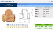 臺(tái)灣RING東光閥門FIG.328鑄黃銅逆止閥