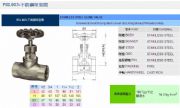 臺(tái)灣RING東光閥門FIG.903不銹鋼球型閥