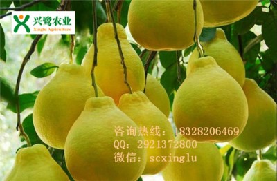 ޽ӣr(ji)